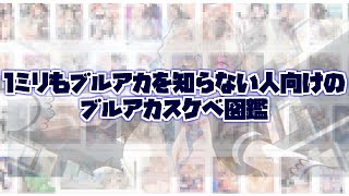 １ミリもブルアカを知らない人向けのブルアカスケベ図鑑