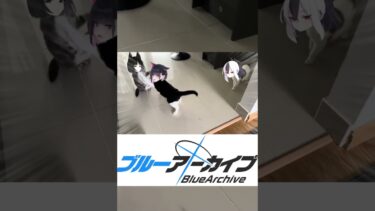 【ブルアカ】うちのキキョウカズサによる加湿器たちの頂上決戦編 #ブルーアーカイブ