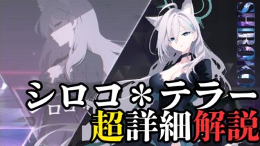 【ブルアカ3.5周年】シロコ＊テラー　超詳細解説　【ブルーアーカイブ】