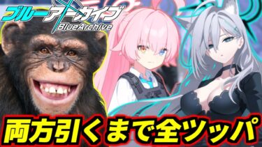 【ブルアカ】魂の3.5周年☆3確率2倍ガチャ、臨戦ホシノとクロコ両方引くまで全財産ツッパいきます【ブルーアーカイブ】【BlueArchive】