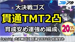 【ブルアカ】大決戦ゴズ 貫通TMT2凸 育成安め運強め編成 (TORMENT/屋外戦/8月)【ブルーアーカイブ】