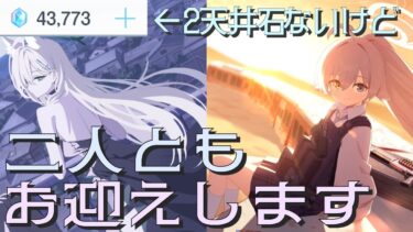 【ブルアカ】ホシノピックアップで出てきまくるクロコ【ゆっくり実況】