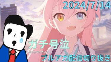 ブルアカ配信切り抜き　アビドス編で号泣　2024/7/14 配信分　#君は相対性理論を無視している