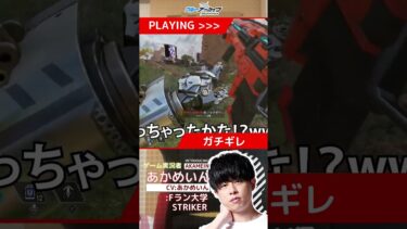 ブルアカに登場したあかめいん【Apex Legends/エーペックスレジェンズ/切り抜き/あかめいん】