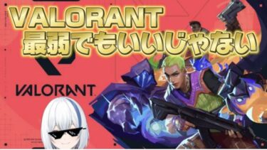 【VALORANT】毎日配信406日目ブルアカのガチャを引き隊 ＃VALORANT #新人Vtuber