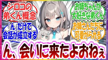 ここだけシロコにめちゃくちゃかわいい弟がいる世界線に対する先生方の反応集【ブルアカ・総集編】
