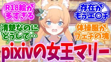 なぜこうもエチ絵が多いのか？pixivの女王マリーへの反応集【ブルーアーカイブ/ブルアカ/反応集】