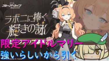 【ブルアカ】新限定アイドルマリー強いと知って今更引いていく！！【ガチャ配信】