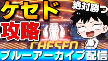 【ブルアカ】大決戦ケセド攻略&ストーリー読みまくる配信【ブルーアーカイブ】