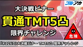 【ブルアカ】大決戦 ビナー 貫通TMT5凸(TORMENT)攻略 限界チャレンジ！ (市街地/37,858,162/12月)【ブルーアーカイブ】