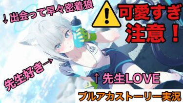 【ブルアカ】26歳童貞、出会って早々に密着する狼さんに困惑　ブルアカストーリー実況Part2