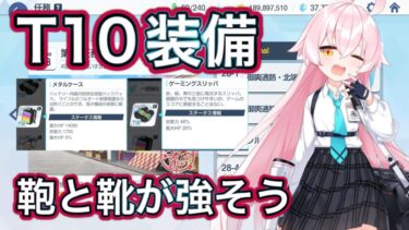 【#ブルアカ】新装備T10 おすすめ周回場所 装備優先度 ずんだもん音声字幕解説 biimシステム 【ブルーアーカイブ】