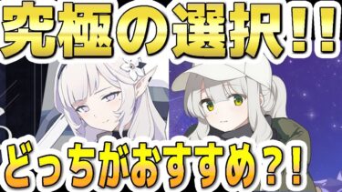 【ブルアカ】【ブルーアーカイブ】ヒマリとキャンプハレ！究極の選択！どっちがおすすめ？！【双葉湊音 実況 解説】