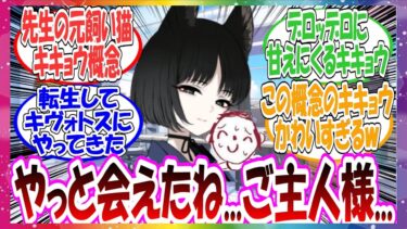 ここだけキキョウが実は前世で先生が可愛がっていた愛猫でキヴォトスで再会を果たした世界線に対する先生方の反応集【ブルアカ】