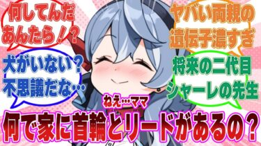 アコ息子「ママ…うちには犬がいないのに何で首輪とリードがあるの？」に対する反応集【ブルアカ/まとめ/反応集】