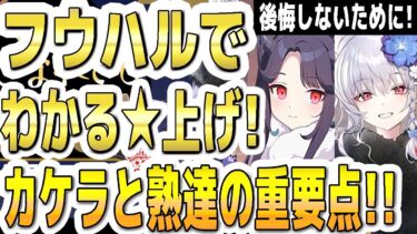 【ブルアカ】【ブルーアーカイブ】正月フウカと正月ハルナでわかる☆上げ！後悔しないために！カケラと熟達証書の重要ポイントなど！！【双葉湊音 実況 解説】