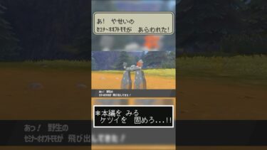 【ブルアカ？】あ！　やせいの　ｾﾐﾅｰｵｵﾌﾄﾓﾓが　あらわれた！【ゆっくり実況】【ポケモン剣盾】 #ゆっくり実況 #ブルアカ #ポケモン #ポケモン剣盾 #ポケモンソードシールド