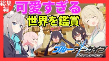 【ブルアカ 実況】アニメ勢の可愛すぎるキャラが多すぎる神ストーリー鑑賞！【ブルーアーカイブ/Blue Archive】#総集編 ※ネタバレ有り