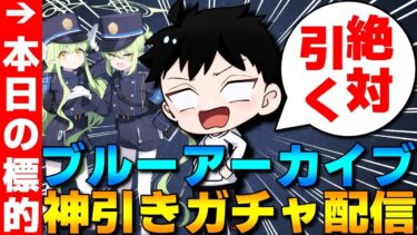 【ブルアカ】お久ブルーアーカイブでガチャ天井まで引いてヒカリもノゾミもゲットする配信【ブルーアーカイブ】