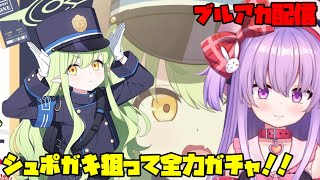 シュポガキに天井覚悟でガチャに挑む配信【ブルアカ】#vtuber