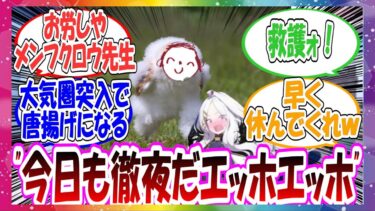 ここだけあまりにも多忙すぎて先生がメンフクロウになってしまった世界線に対する先生方の反応集【ブルアカ】