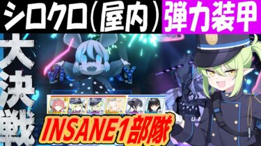 【ブルアカ】大決戦シロクロ（弾力装甲）INSANE1部隊クリア解説(27,795,456pt)【ブルーアーカイブ】