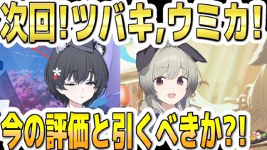 【ブルアカ】【ブルーアーカイブ】次回！ガイドツバキやウミカ！！今の評価とガチャを引くべきか？！【双葉湊音 実況 解説】