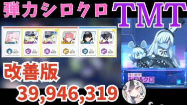 【解説付き】シロクロ 屋内 弾力 1凸 TORMENT 39,946,319【ブルアカ】
