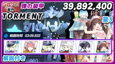 【ブルアカ】大決戦 シロクロ 弾力装甲 1凸 Torment  解説 39,892,400 振動【ブルーアーカイブ】