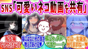 可愛いネコちゃん動画をSNSで共有してしまいケモ耳生徒に襲われる先生【ブルーアーカイブ ブルアカ 反応集 まとめ】