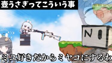 壺うさぎってこういう事【ブルアカ 】
