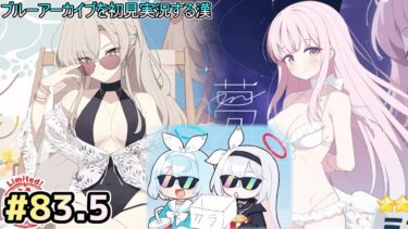 【ブルーアーカイブを初見実況する漢】4.5周年ガチャ開催っ‼神引き、魅せますか・・・・・・・!!!! part83.5【ブルアカ】
