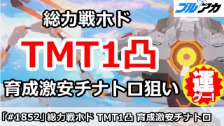 【ブルアカ】総力戦ホド TMT1凸 育成激安チナトロ狙い 39,846,320 (TORMENT/市街地/2025年7月)【ブルーアーカイブ】