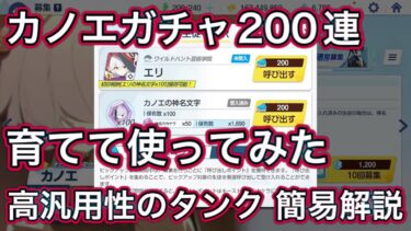 【ブルアカ】新規実装生徒 カノエ 育てて使ってみた 性能速報 おまけガチャ【ブルーアーカイブ】
