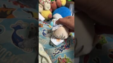 阿慈谷さんは可愛いですね。 #歌詞動画 #バズれ #ブルアカ #ブルーアーカイブ #ぬいぐるみ #ぬい撮り #チャンネル登録お願いします #ゲーム実況者 #人気になりたい