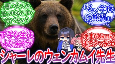 シャーレのクマ先生に対する先生の反応集【ブルーアーカイブ -Blue Archive- 反応集】