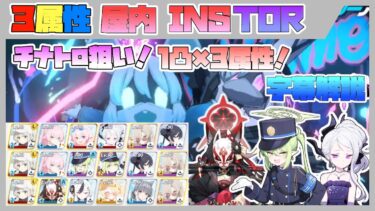 【字幕解説】大決戦 屋内  シロクロ INSANE TORMENT 軽装備 4003万 弾力装甲 3995万 特殊装甲 2777万【ブルアカ】
