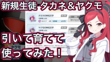 【ブルアカ】新規実装生徒 タカネ ヤクモ 育てて使ってみた 性能速報 おまけガチャ【ブルーアーカイブ】