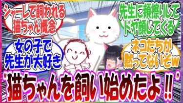 ここだけシャーレで先生のことが大好きなネコちゃんを飼うことになったが、当番の生徒に見せつけるように頬擦りしてきたりとめちゃくちゃ卑しいネコちゃんだった世界線に対する先生方の反応集【ブルアカ】