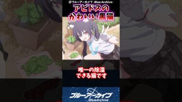 【ブルアカ】アビドスのかわいい黒猫に対するブルアカファンの反応集#ブルアカ #ブルーアーカイブ #shorts