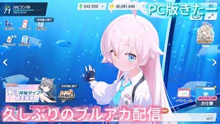 久しぶりのブルアカ配信PC版きたー[雑談]