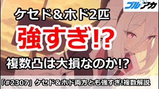 【ブルアカ】鋼鉄大陸攻略戦 レイドバトル ケセド＆ホド2匹が強すぎ！複数凸は大損なのか！？【ブルーアーカイブ】