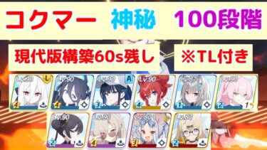 制約解除決戦 コクマー 神秘(特殊装甲) 100段階 TL付き 【ブルアカ】