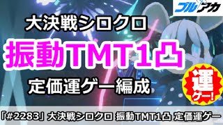 【ブルアカ】大決戦シロクロ 振動TMT1凸 定価運ゲー編成 40,030,880 (TORMENT/市街地/1月)【ブルーアーカイブ】