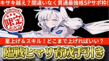 【ブルアカ】貫通で最強格SP！臨戦ヒマリの星上げや育成はどこまですればいい？育成の手引き！【ブルーアーカイブ】