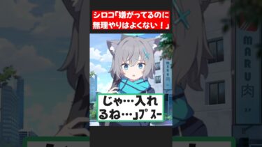 飼いシロコを予防接種に連れて行く日のよくある光景  #ブルーアーカイブ #ブルーアーカイブ #ss