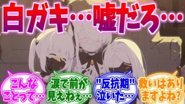 涙で前が見えない…白ガキ最期の反抗期への反応集【ブルーアーカイブ/ブルアカ/反応集】