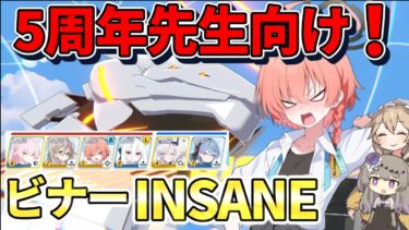 【ブルアカ初心者】5周年先生でもINSANE！？低育成OK！ビナーINSANE攻略！【総力戦・屋外】