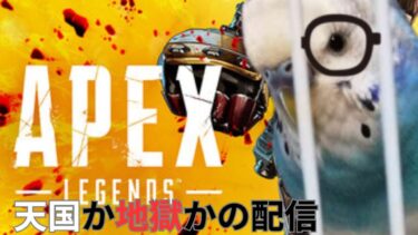 【配信】2時間で合計30キルできたら次回ブルアカ配信、できなかったらホラゲ配信【APEX LEGENDS】