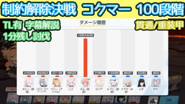 【ブルアカ】制約解除決戦 コクマー 貫通(重装甲) ネルワントップ編成 100段階 TL有 字幕解説